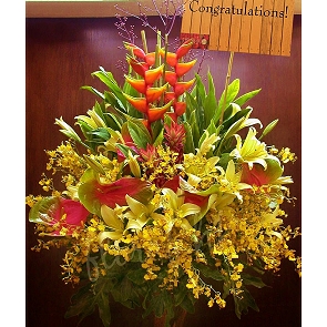 OP37  企身開張花籃  